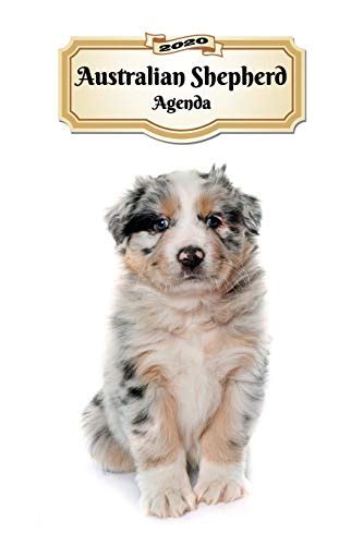 2020 Australian Shepherd Agenda 107 Pagine Dimensioni DIN A5