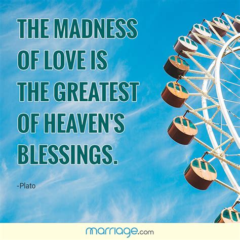 Love Madness Quotes