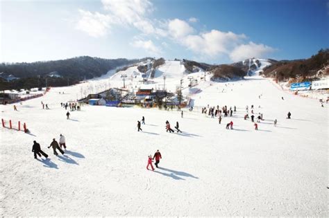 The Best Ski Resorts In South Korea For A Perfect Winter Getaway