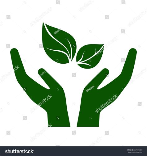 Icon Hands Carefully Holding Green Leaves Stock Vector Royalty Free