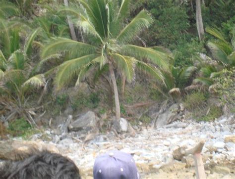 Affordable Beach Property For Sale Odiongan Romblon 🏖️ [1 Property ...