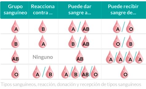 Conoces Los Tipos De Sangre Tipos De Sangre Educacion Para La Salud Auxiliar De Enfermeria