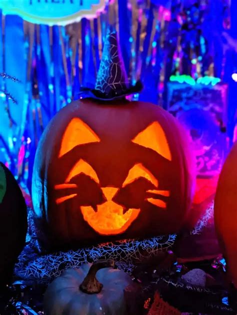 Cat Inspired Pumpkin Carving Patterns Acana