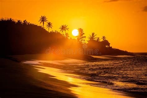 Tropical Sunset at the Beach with Palms Stock Photo - Image of ...