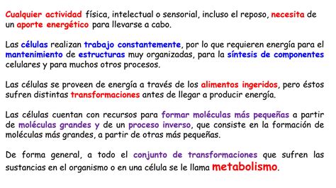 Solution Quimica Biolog A Y Lab Clase Metabolismo Studypool