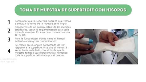 Toma De Muestras Con Hisopos Youtube