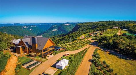 Olivas De Gramado Recebe Abertura Oficial Da Colheita Da Oliva