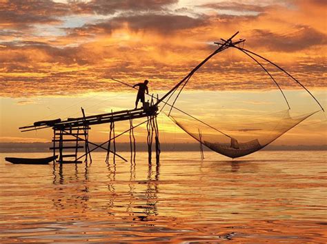 La producción pesquera y acuícola mundial logra un máximo histórico