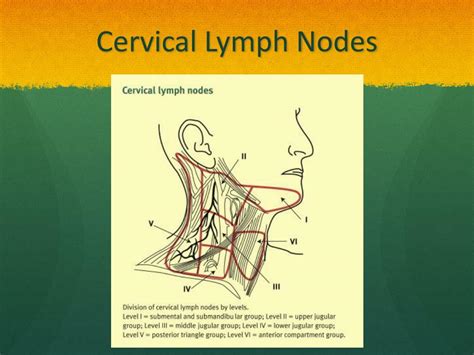 Ppt Epidemiology Anatomy Presentation Surgical Options Powerpoint