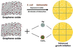 Key Parameters To Enhance The Antibacterial Effect Of Graphene Oxide In