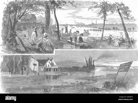 century great stink  res stock photography  images alamy