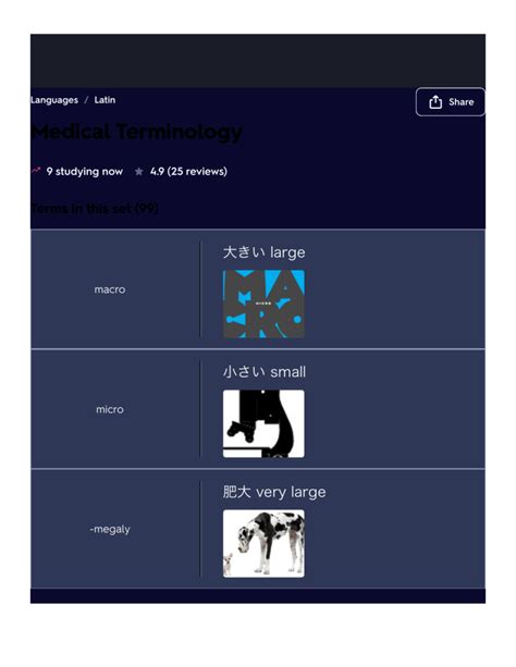 Medical Terminology Flashcards Quizlet