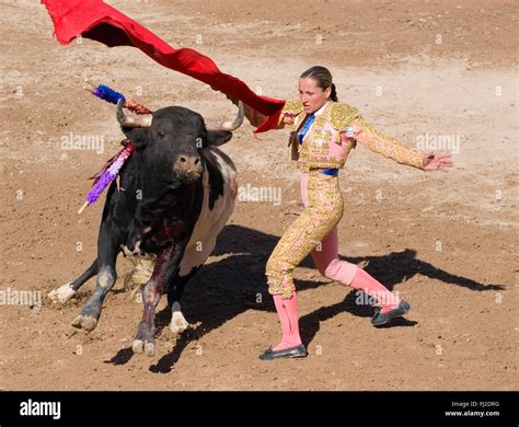 The female matador RAQUEL SANCHEZ fights a bull in the Plaza de Toros ...