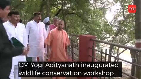 UP CM Yogi Adityanath visited wildlife conservation and tourism ...