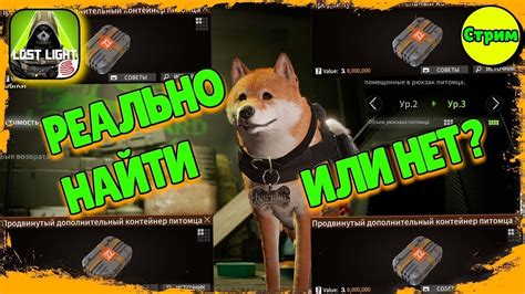 ВЫБИЛ ПРОДВИНУТЫЙ ДОРОЛНИТЕЛЬНЫЙ КОНТЕЙНЕР ПИТОМЦА - YouTube