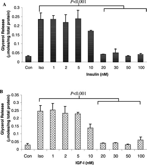 Inhibition Of Isoproterenol Stimulated Lipolysis By Insulin And Igf I Download Scientific