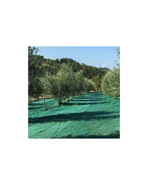 Rotolo Telo Rete Raccolta Olive Antispina X Mt Pugliese Barese