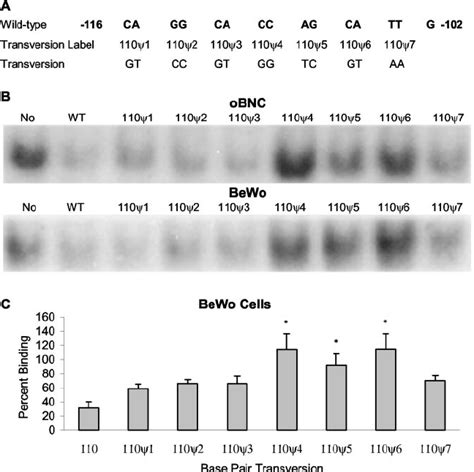 Emsa Competition Analysis With Mutant O110 Oligonucleotides Emsa