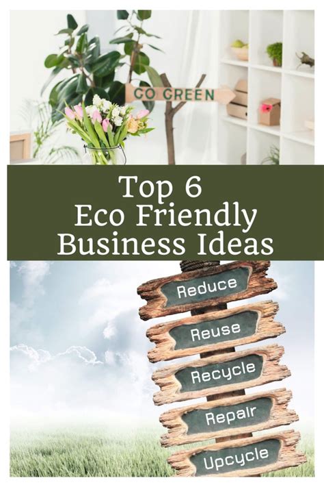 6 Genius And Eco Friendly Small Business Ideas Green Business Ideas