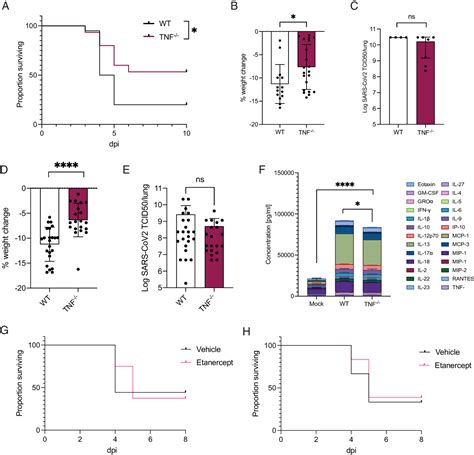 Sars Cov Mouse Adaptation Selects Virulence Mutations That Cause Tnf