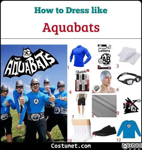 Aquabats Costume For Halloween