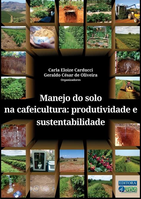 Manejo Do Solo Na Cafeicultura Produtividade E Sustentabilidade