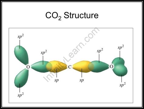 Sigma And Pi Bonds In Co2