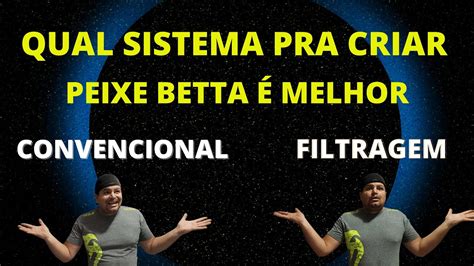 Cria Ao De Peixe Betta Filtragem Biologica Ou Convencional Descubra