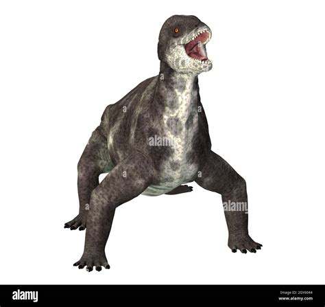 Dinocephalian Dinosaur Hi Res Stock Photography And Images Alamy