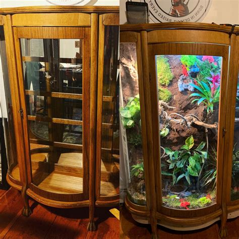 My Custom Made Chameleon Enclosure Chameleon Enclosure Water Dragon