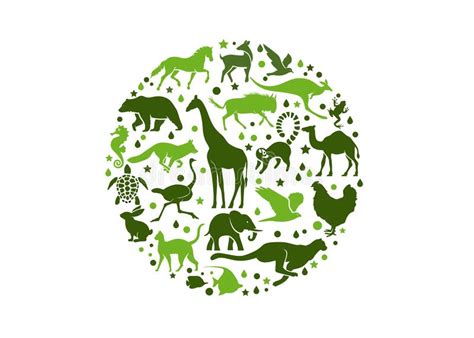 Jungle Animals Circle Stock Illustrations 714 Jungle Animals Circle