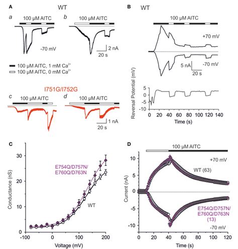 Figure From The First Extracellular Linker Is Important For Several