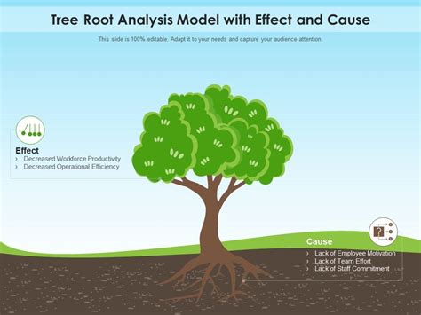 Tree Root Analysis Model With Effect And Cause Presentation Graphics Presentation Powerpoint