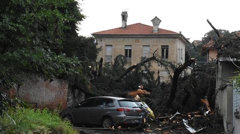 Alberi Sradicati E Ferrovia In Tilt Un Forte Temporale Causa Ingenti