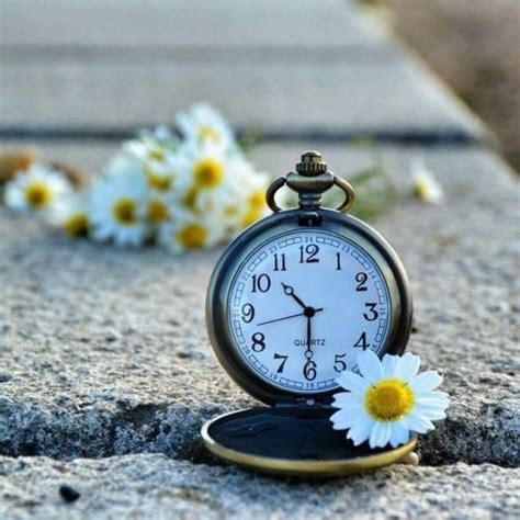 A Clock Sitting On The Ground With Flowers In Front Of It And Text That