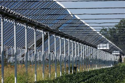 Agrivoltaico un opportunità di sviluppo sostenibile in ambito rurale