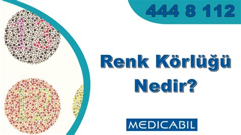 Blog Renk Körlüğü Nedir Renk Körlüğü Testleri Nelerdir