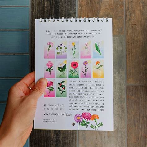2024 Calendar Weeks Per Month Ending Melva Sosanna
