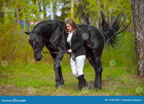Girl Rider Rides A Horse. Leather Boot In Stirrup. Horseback Riding ...