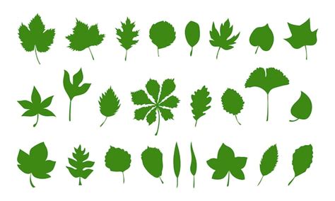 Premium Vector Set Vector Spring Leaves Herbal Element Big Collection