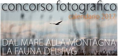 9° Concorso Fotografico Per Il Calendario Dal Mare Alla Montagna La