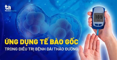 Điều Trị Tiểu đường Bằng Tế Bào Gốc Hy Vọng Mới Cho Người Bệnh