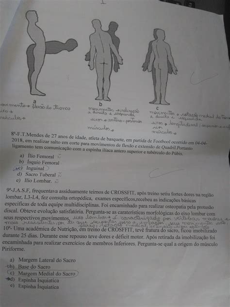 Anatomia Locomotor Av Anatomia Do Aparelho Locomotor Otosection Porn