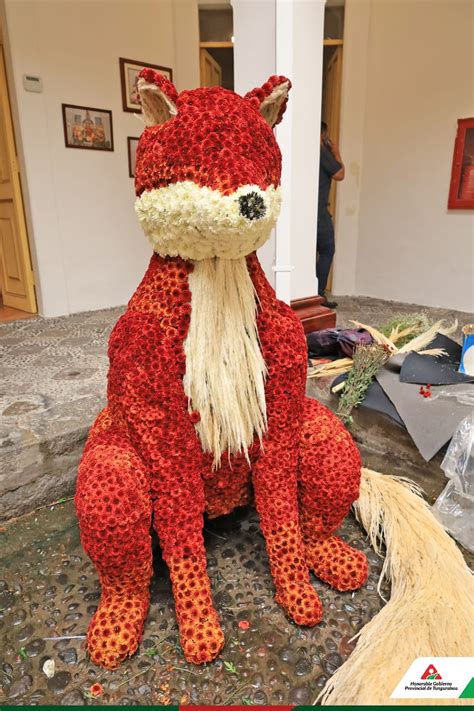 Exposición Un Océano De Flores En El Museo Provincial Casa Del Portal