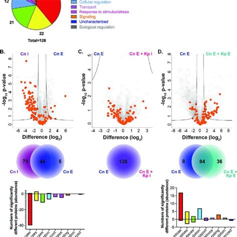 Global Proteome Response To Shifting The Macrophage Microbiome A Download Scientific Diagram