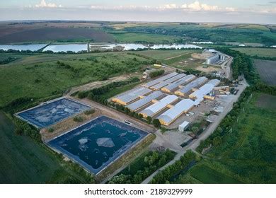 Aerial View Cattle Farm Buildings Between Stock Photo 2189329999 | Shutterstock