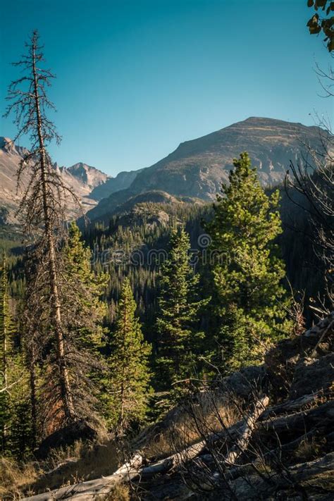 Rocky Mountain National Park In The Fall Stock Photo Image Of Nature