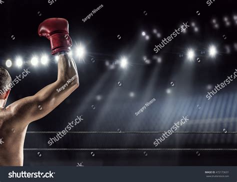 Powerpoint Template Boxing Winner Professional Box Lojioknki