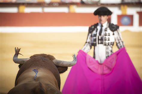 Tauromaquia Marcos Moreno Periodista Visual Fotograf A De Prensa