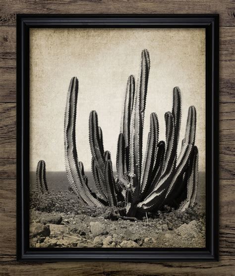 Vintage Cactus Print Cacti Wall Art Desert Cactus Etsy